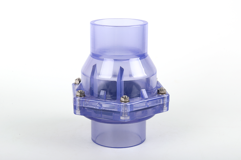 广西透明翻板式止回阀